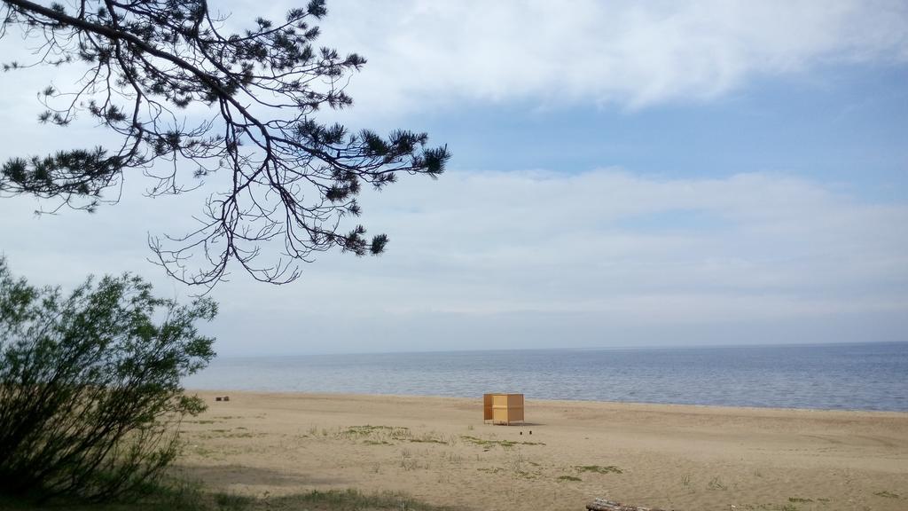 Koidula Holiday Home Narva-Jõesuu 外观 照片